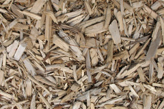 biomass boilers Mangarstadh